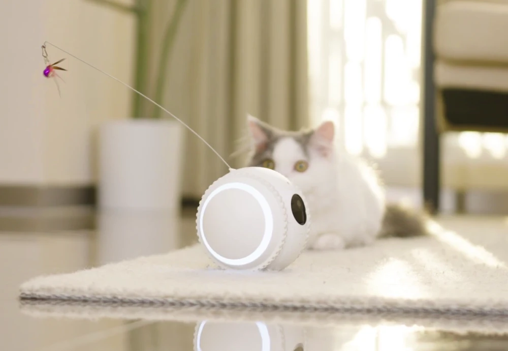 best security camera for pets