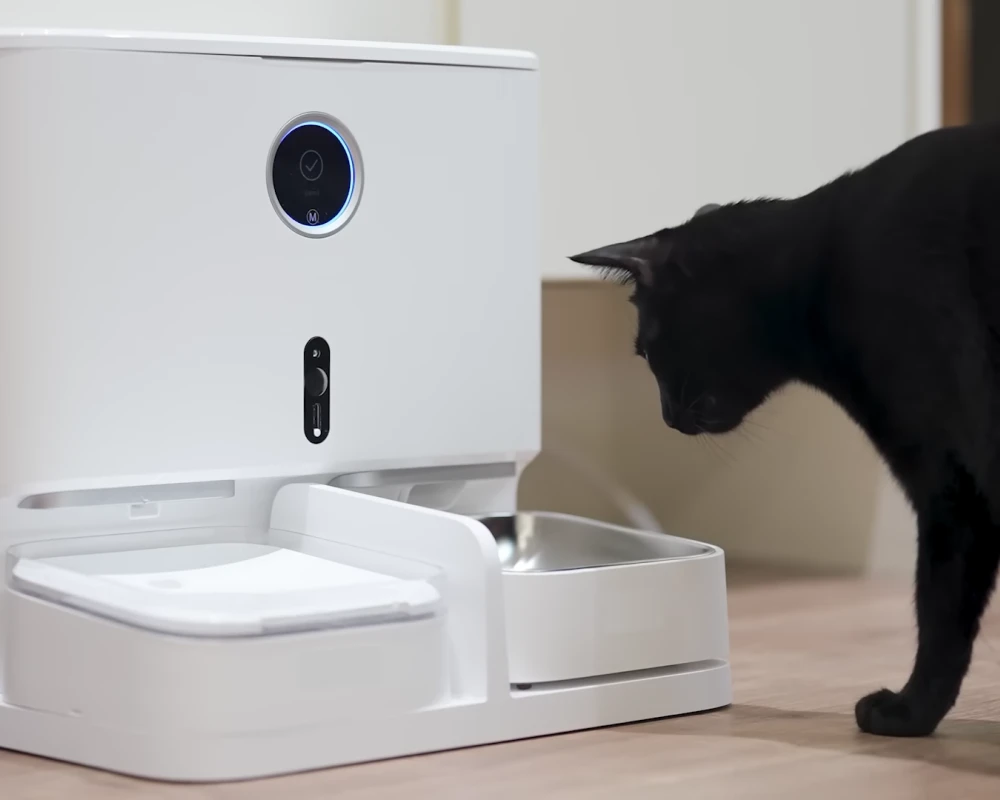 dog automatic pet feeder